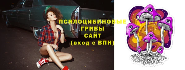 дживик Абинск