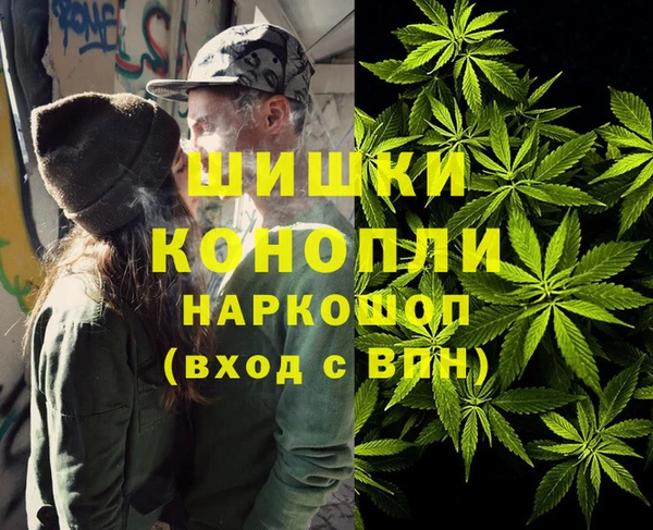 дживик Абинск